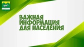Временное приостановление выписки угля
