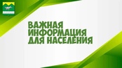 КРУПНОГАБАРИТНЫЕ И СТРОИТЕЛЬНЫЕ ОТХОДЫ: ПРАВИЛА УТИЛИЗАЦИИ