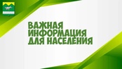 Место временного размещения отходов для нужд муниципалитета
