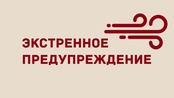 ЭКСТРЕННОЕ ПРЕДУПРЕЖДЕНИЕ