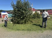 Благоустройство территорий
