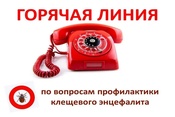 «Горячая линия» по профилактике: клещевого энцефалита