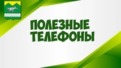 ☎Актуальные номера телефонов специализированных и экстренных служб округа.