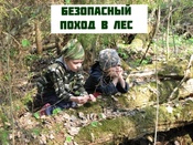 Основные правила безопасности в лесу