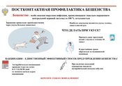 Профилактика бешенства